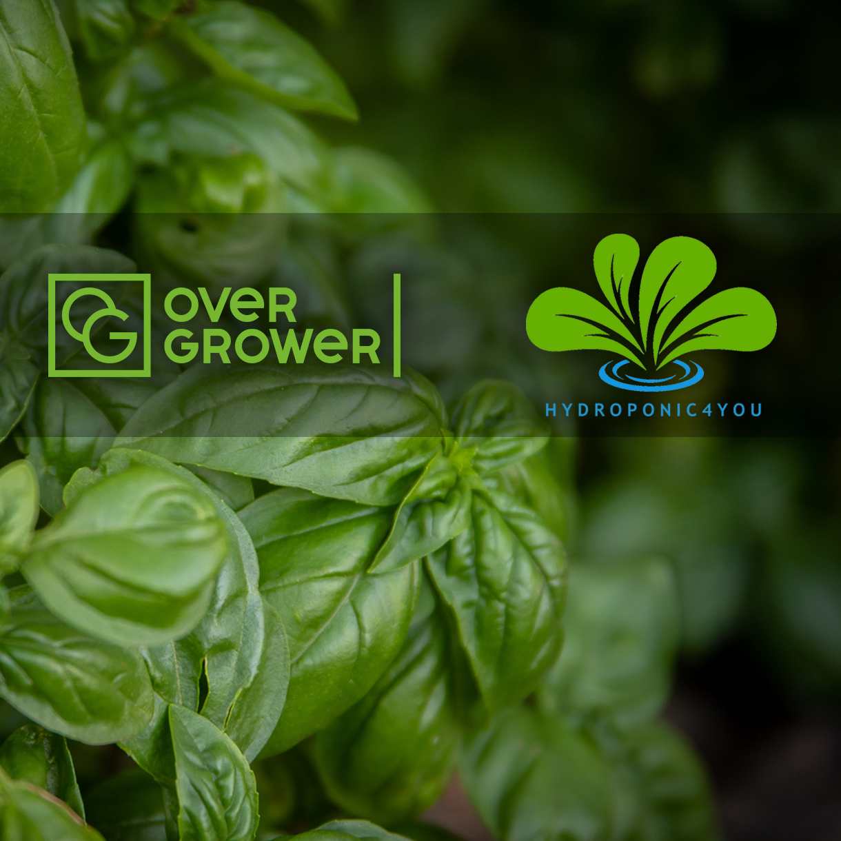 The Partnership Agreement with Hydrogarden Beit Shemesh A.D. executed!