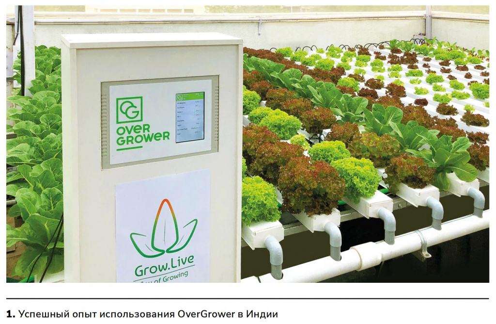 Успешный опыт использования OverGrower в Индии Успешный опыт использования OverGrower в Индии