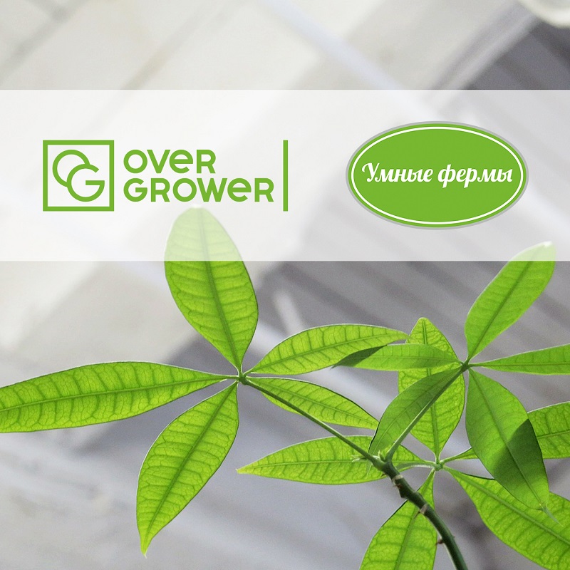 Компания Умные фермы оказывают полный спектр услуг OverGrower
