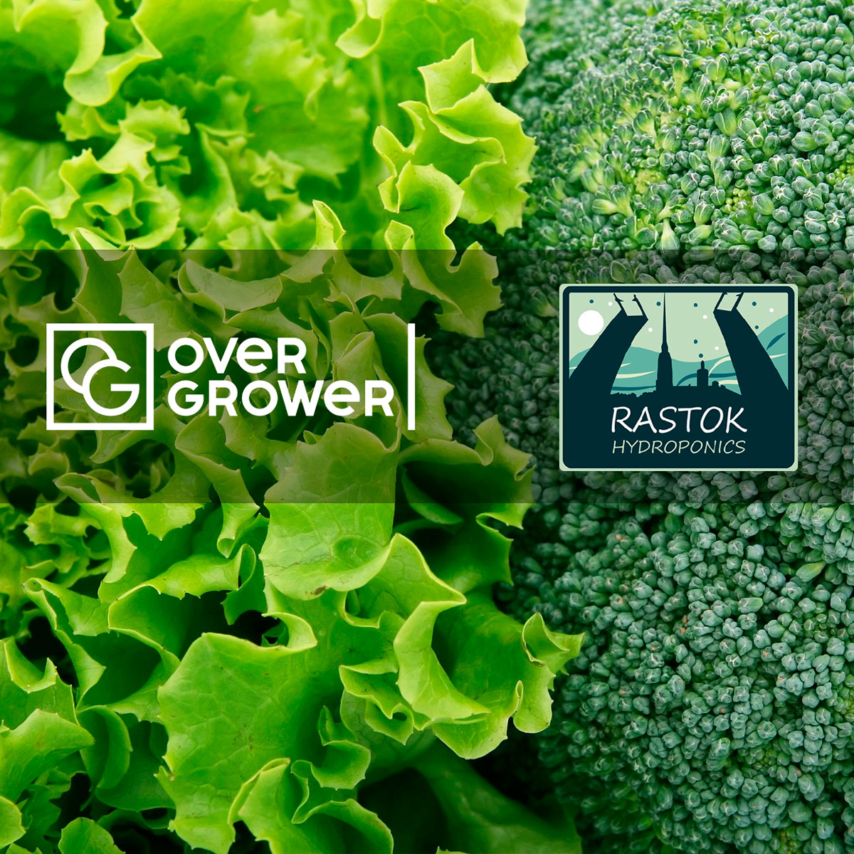 The Partnership Agreement with RastOK executed!