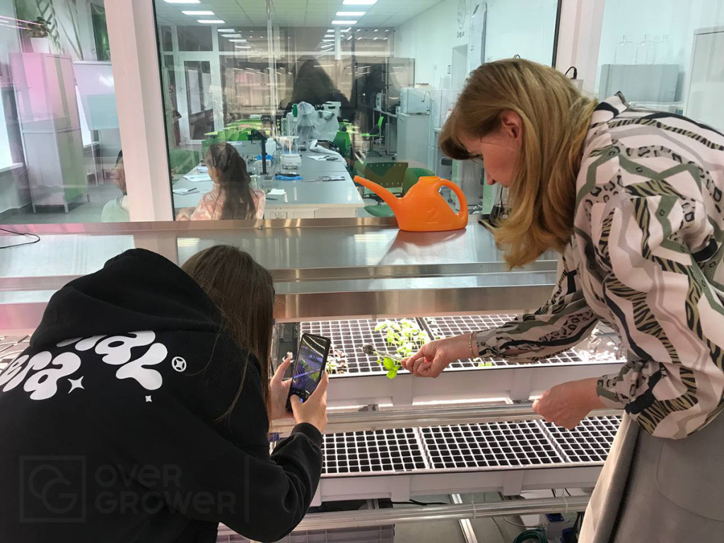 Исследовательская деятельность воспитаници при поддержке преподавателя на Технологическом столе CityFarmer Проращивание