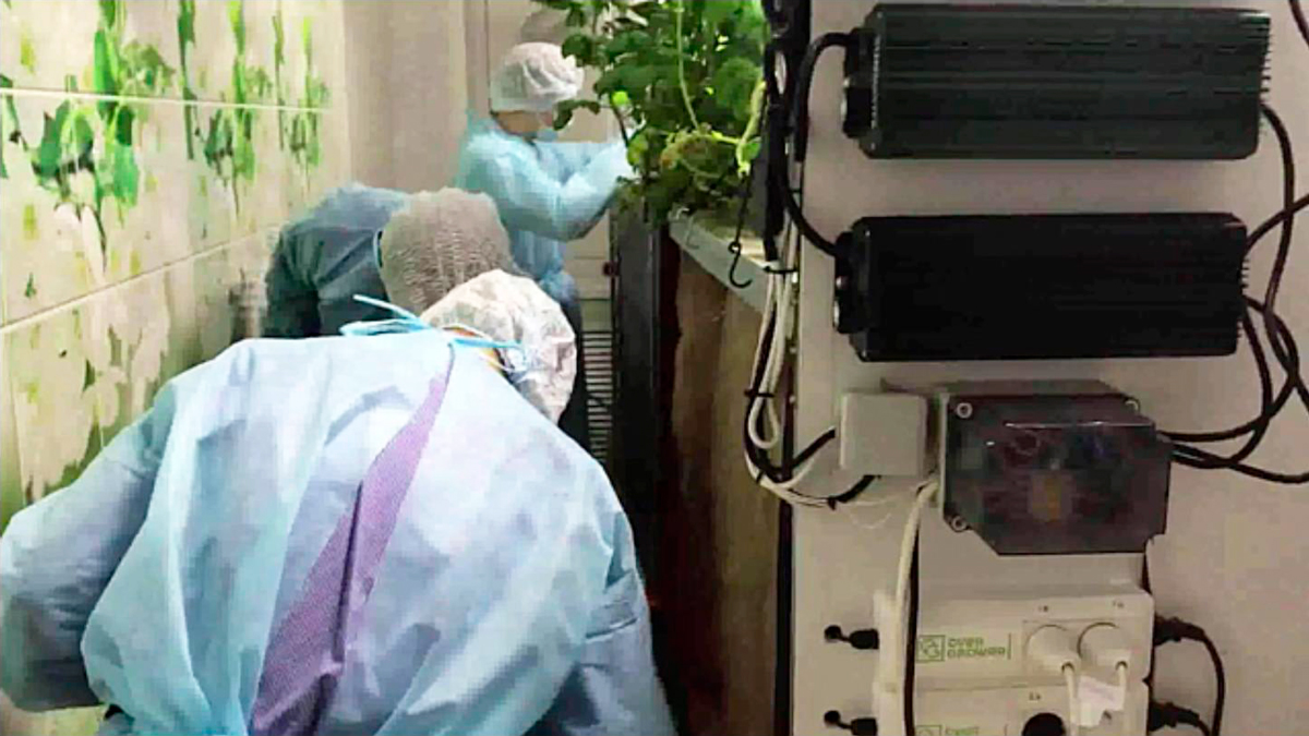 Процесс обслуживания аэропонной установки учащимися Баганской школы №1