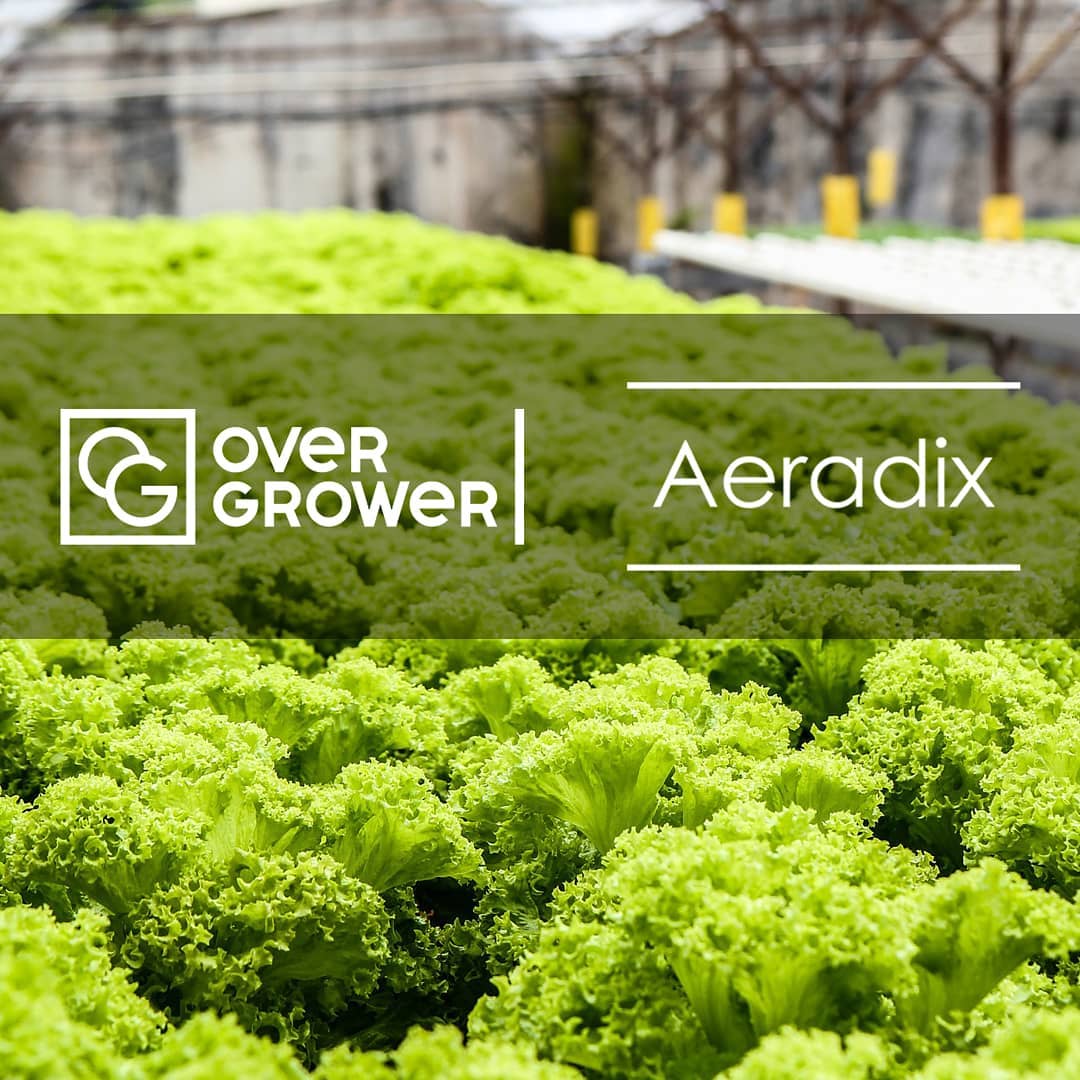 
Aeradix provide a full range of OverGrower services.