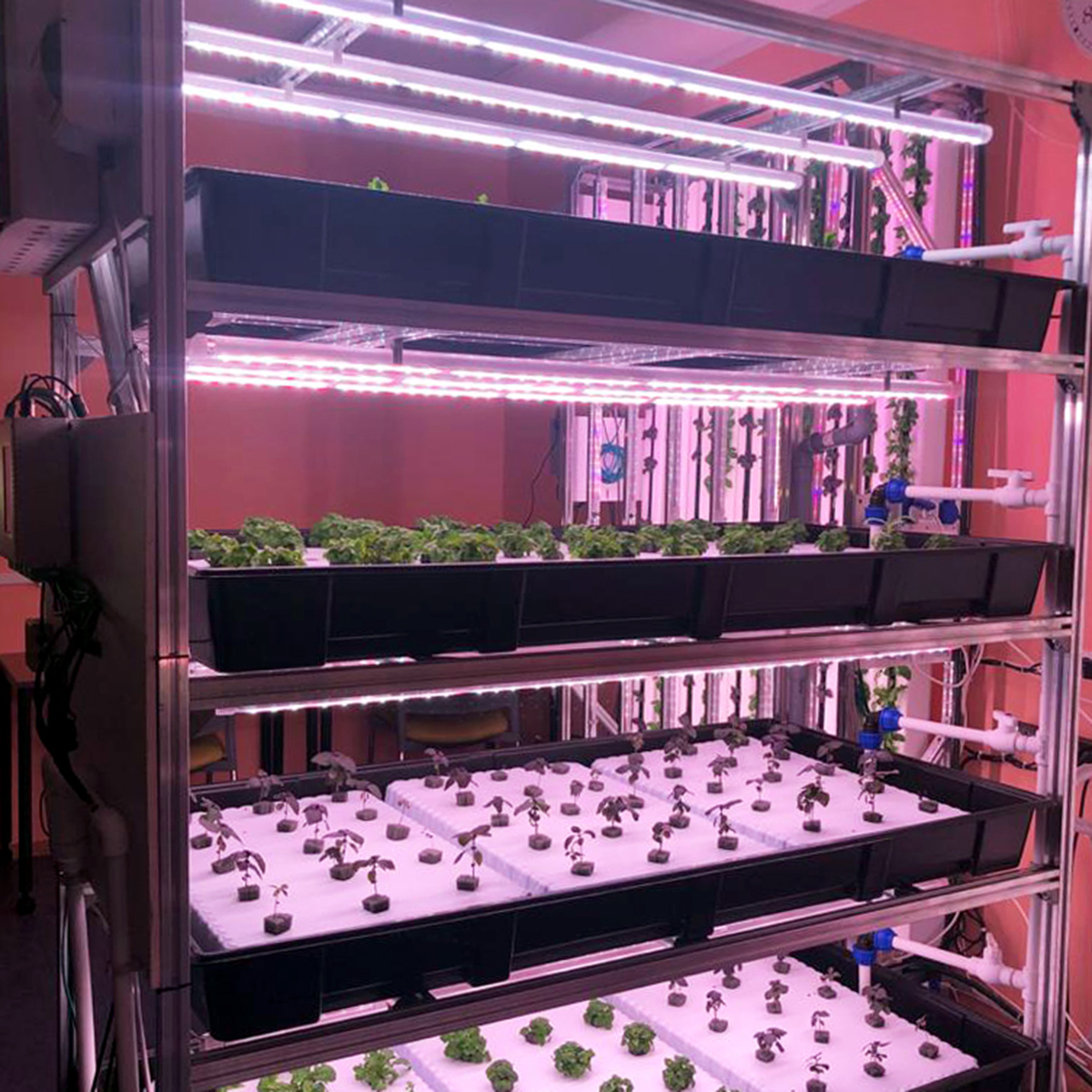 Аэропонная стеллажная система CityFarmer, выращивающая эфирно-масличные и пряные травы