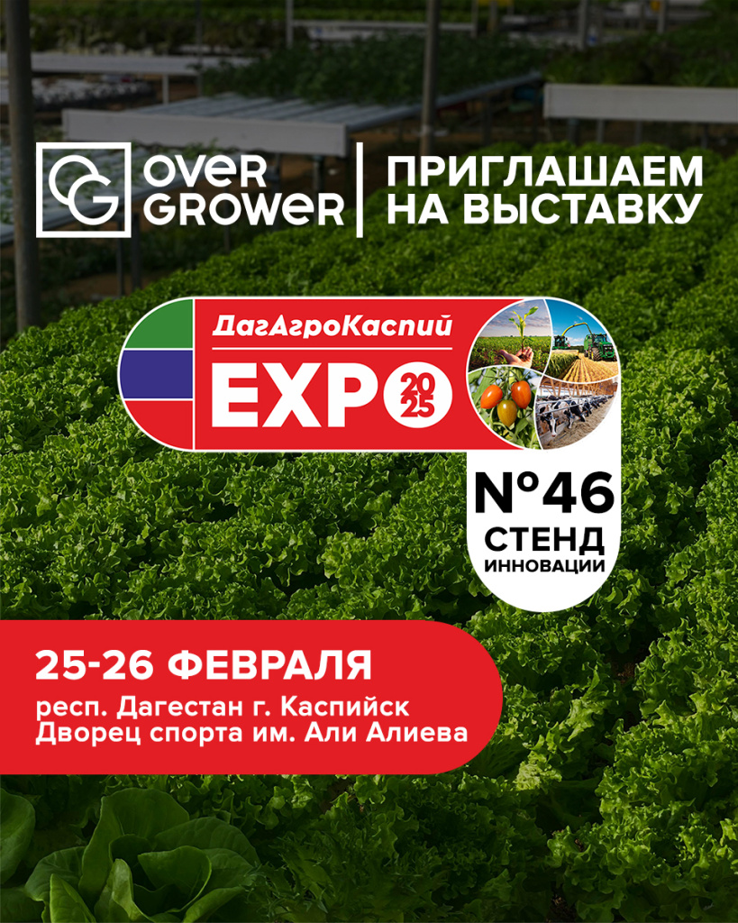 Афиша выставки в Дагестане Афиша выставки в Дагестане