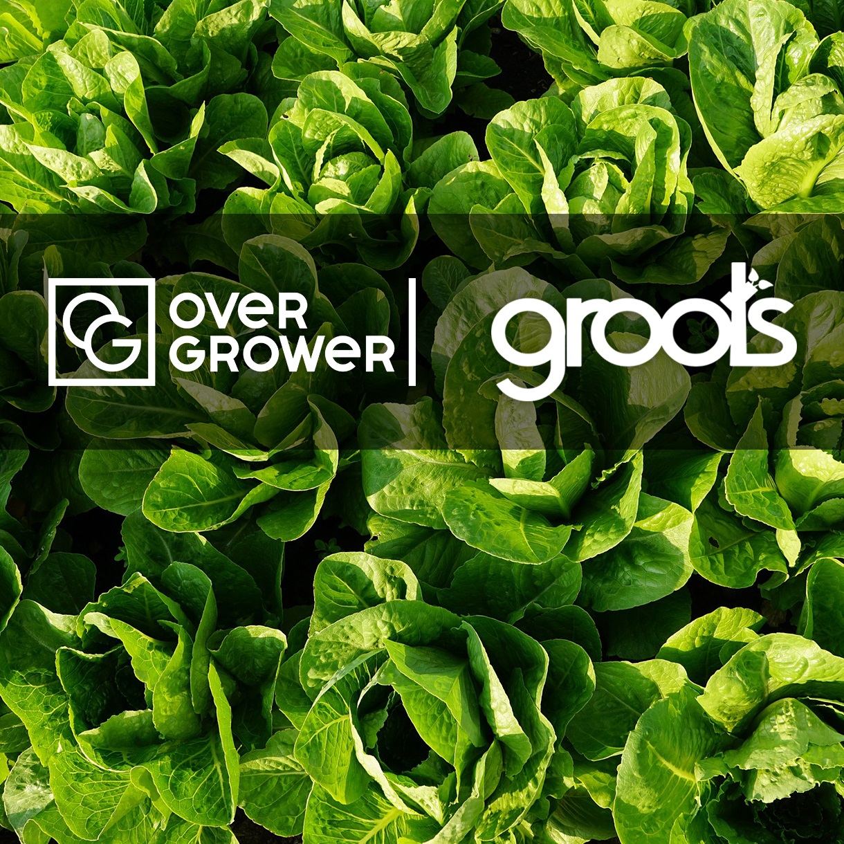 Компания Groots Hydroponics оказывают полный спектр услуг OverGrower!