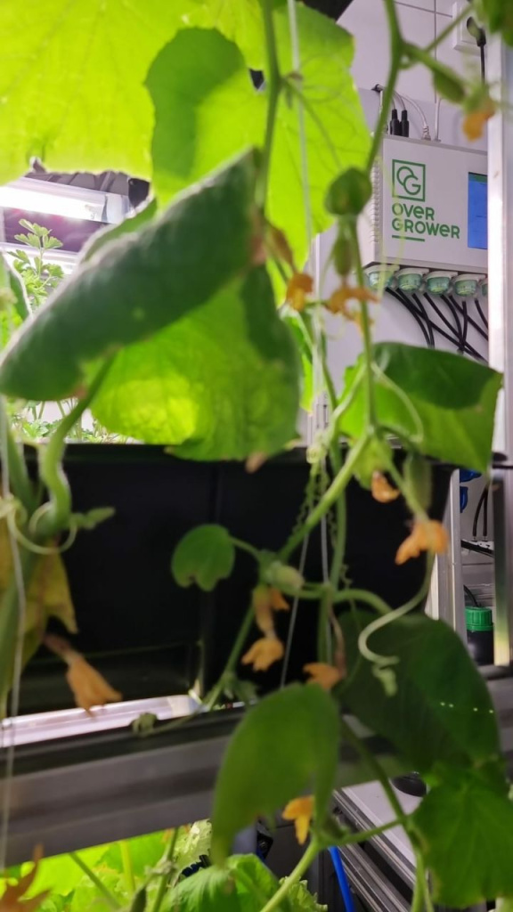установка OverGrower в школьной лаборатории
