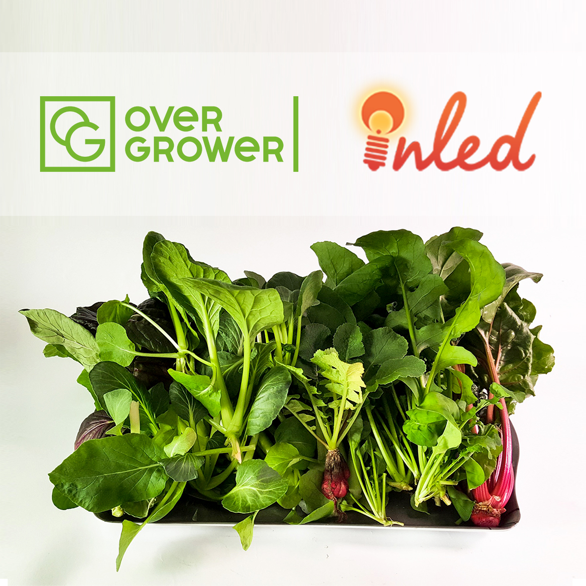 Компания InLED Technologies оказывают полный спектр услуг OverGrower!