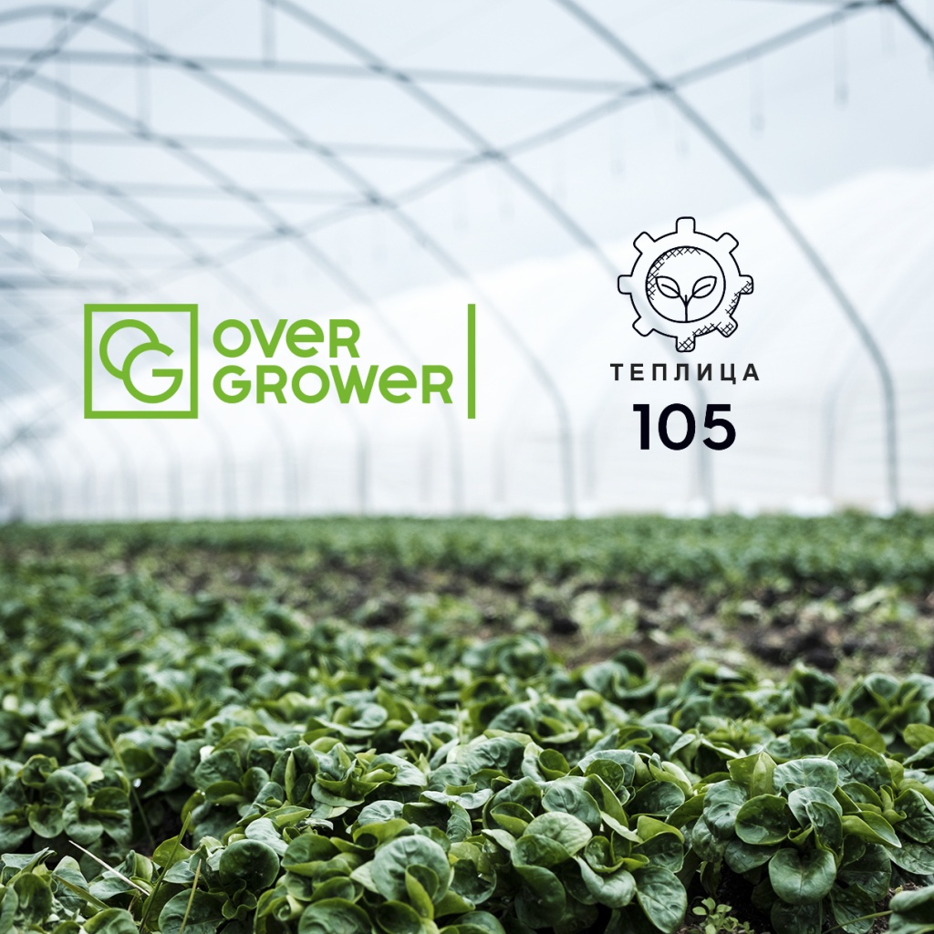 Компания Теплица 105 оказывает полный спектр услуг OverGrower