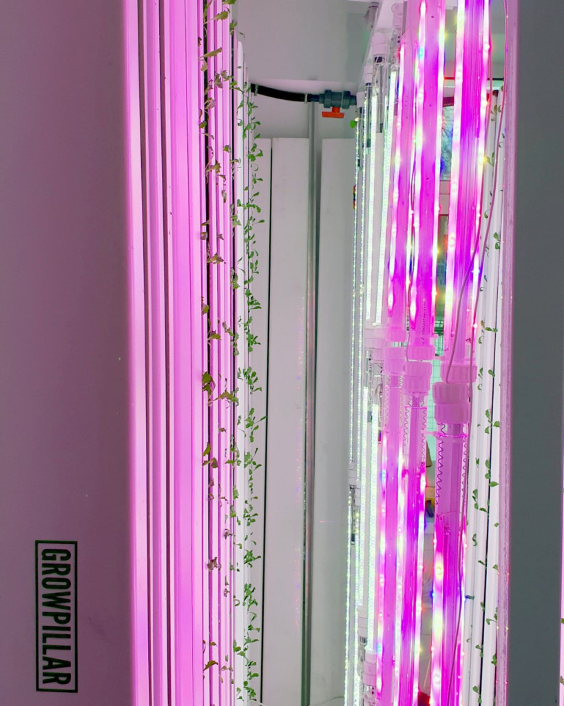 GrowPillar LuxaVita.jpg GrowPillar LuxaVita.jpg