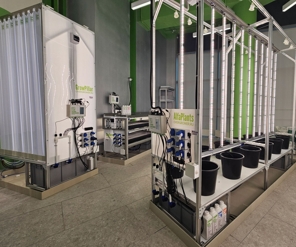 Лаборатория прогрессивного растениеводства оборудована по технологии OverGrower d Кванториуме Нового Уренгоя Лаборатория прогрессивного растениеводства оборудована по технологии OverGrower d Кванториуме Нового Уренгоя