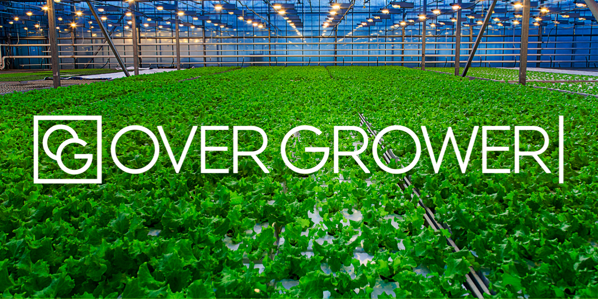 Презентация Over Grower в рамках Demo Day XI Сибирской Венчурной Ярмарки