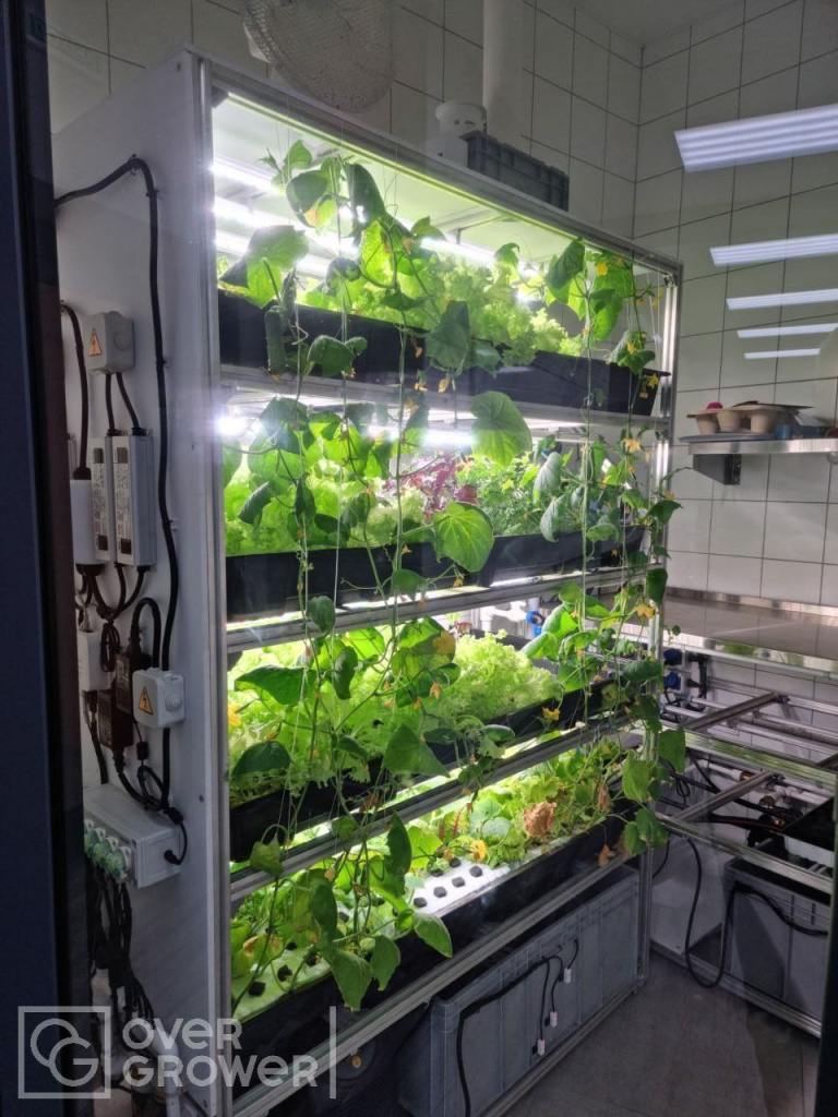 Аэропонная установка CityFarmer Доращивание от OverGrower Аэропонная установка CityFarmer Доращивание от OverGrower
