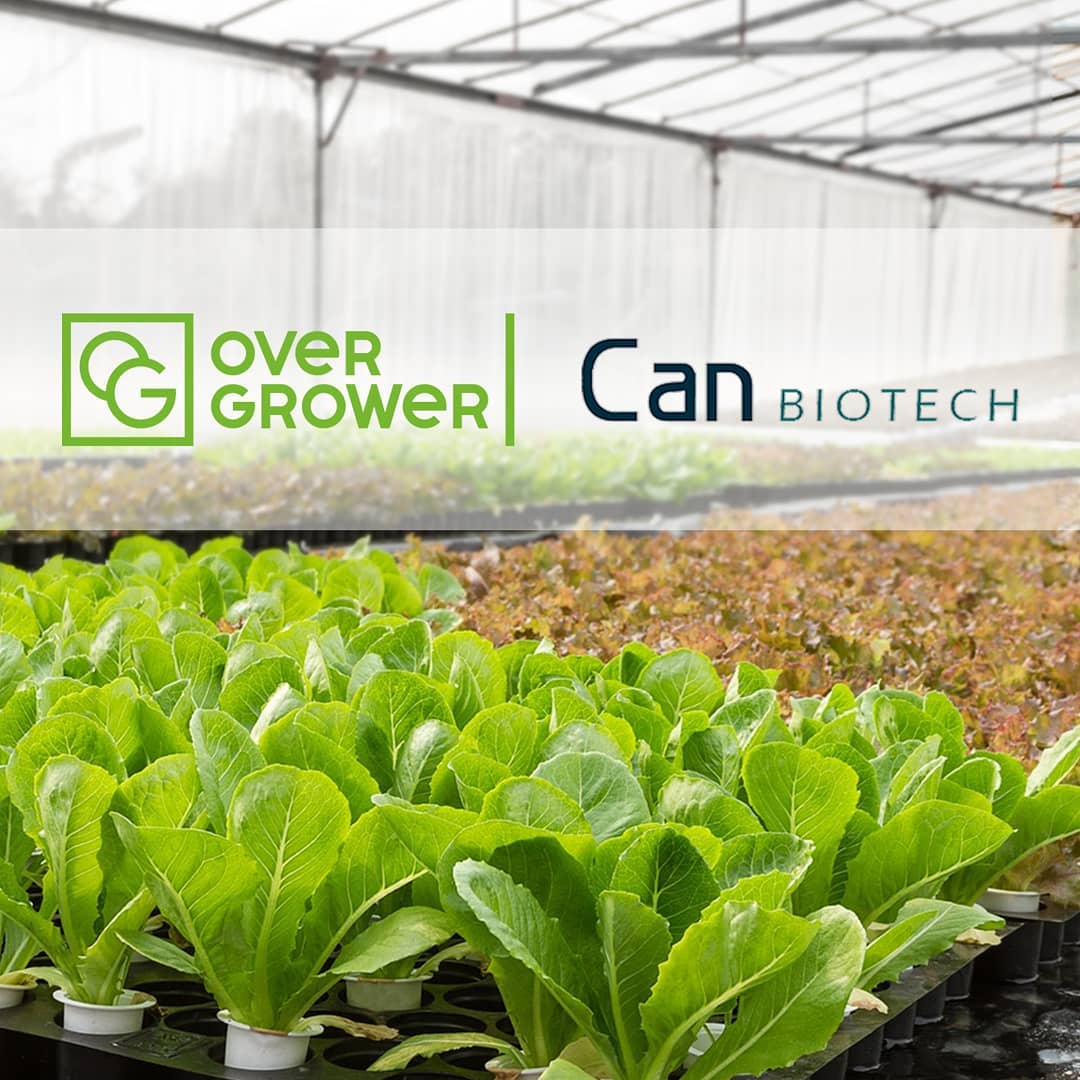 Компания Can Biotech Ltd оказывают полный спектр услуг OverGrower!