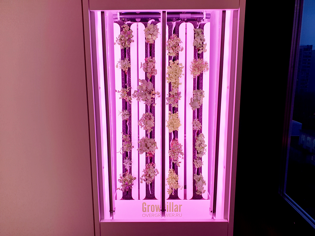 Сити-ферма GrowPillar будет обеспечивать героев Квартирного вопроса свежей зеленью круглый год