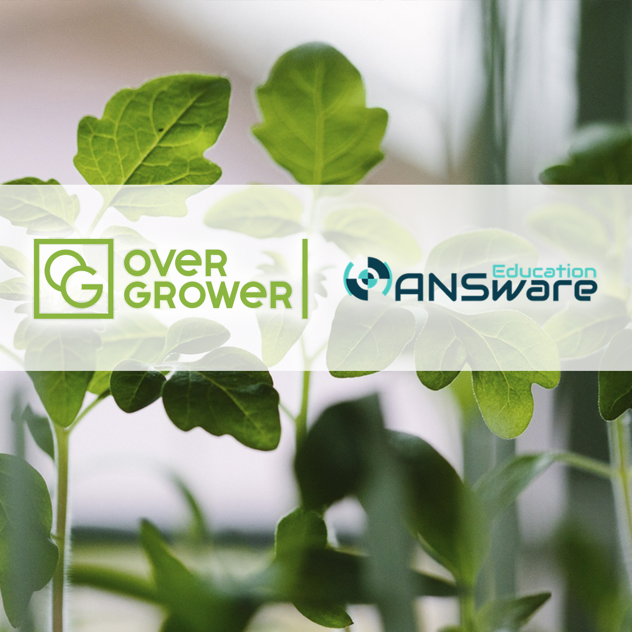 Компания Ультра оказывает полный спектр услуг OverGrower!