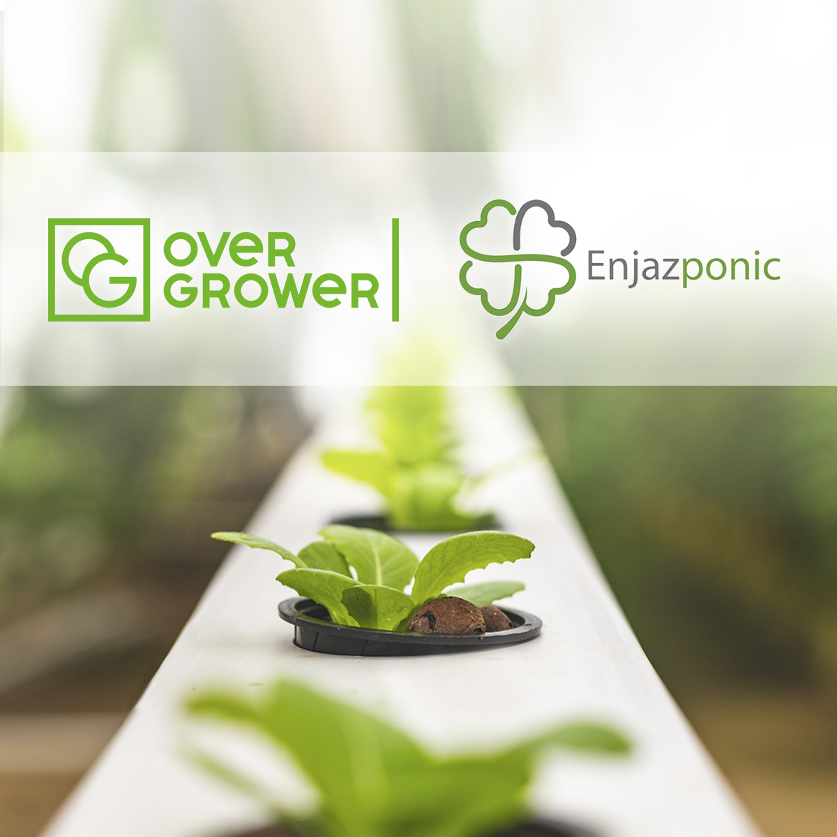 Компания Enjaz Trading FZ LLC оказывают полный спектр услуг OverGrower!