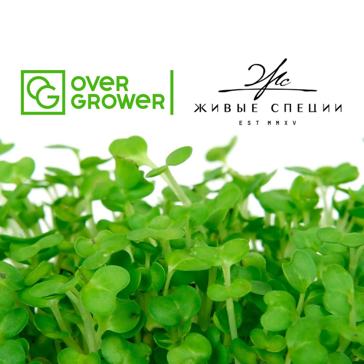 Компания Живые Специи оказывает полный спектр услуг OverGrower!