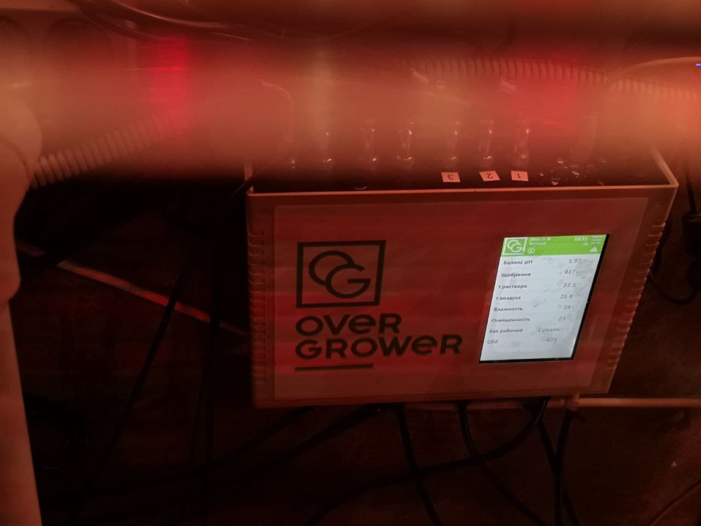 Фудкорт Парник под управлением OverGrower Фудкорт Парник под управлением OverGrower