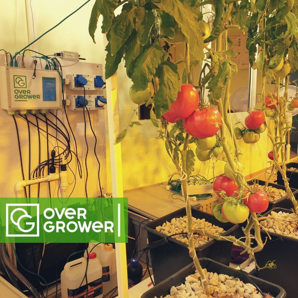 Hydroponics.jpg Hydroponics.jpg