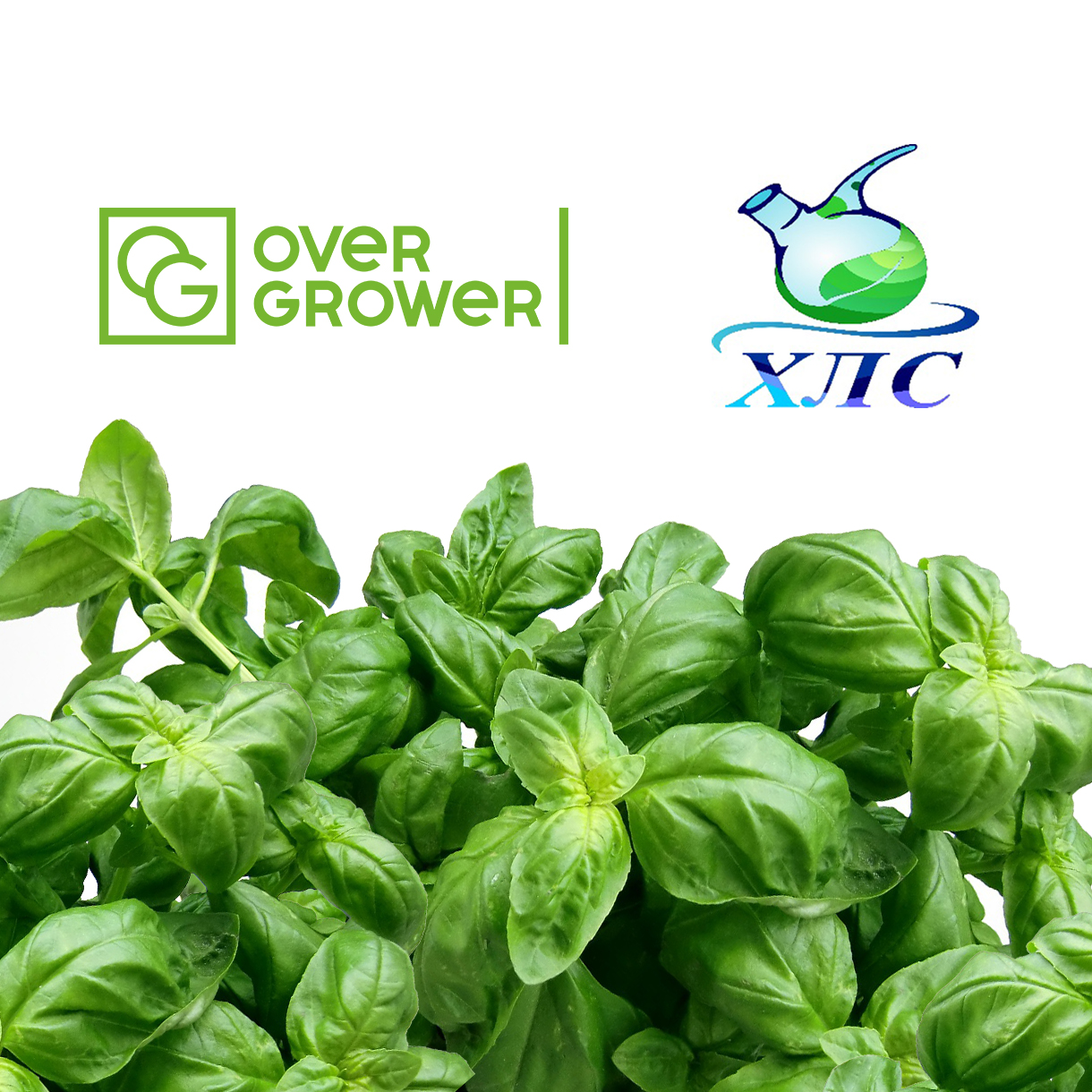 Компания ХимЛабСервис оказывает полный спектр услуг OverGrower!