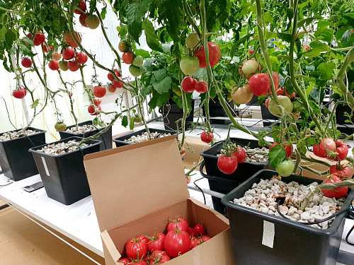 Модульная система AlfaPlants