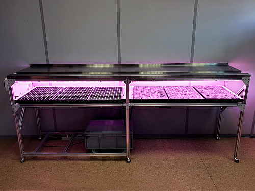 Технологический стол CityFarmer Проращивание