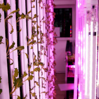 Вертикальная ферма GrowPillar-20 колонного типа