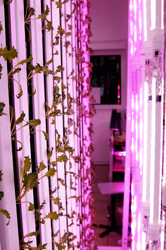 Вертикальная ферма GrowPillar-20 колонного типа