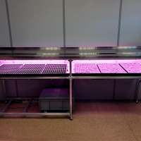 Технологический стол CityFarmer Проращивание