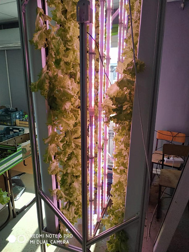 Вертикальная ферма GrowPillar-20 колонного типа
