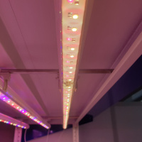 Phytolamp LuxaVita One