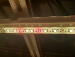 Phytolamp LuxaVita One