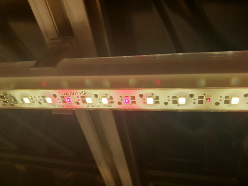 Phytolamp LuxaVita One