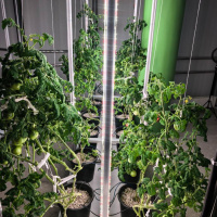 Модульная система AlfaPlants