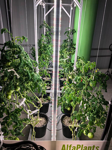 Модульная система AlfaPlants