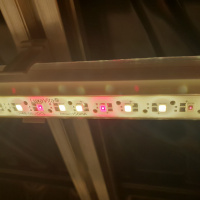 Phytolamp LuxaVita DoubleSided