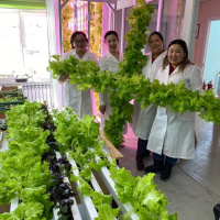 Вертикальная ферма GrowPillar-6 Домашний сад