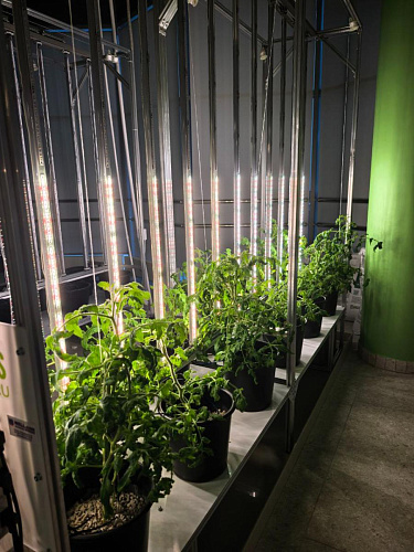 Модульная система AlfaPlants