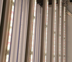 Фитолампа LuxaVita FourSided