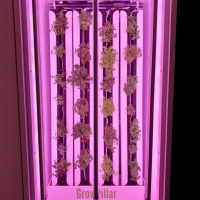 Вертикальная ферма GrowPillar-6 Домашний сад