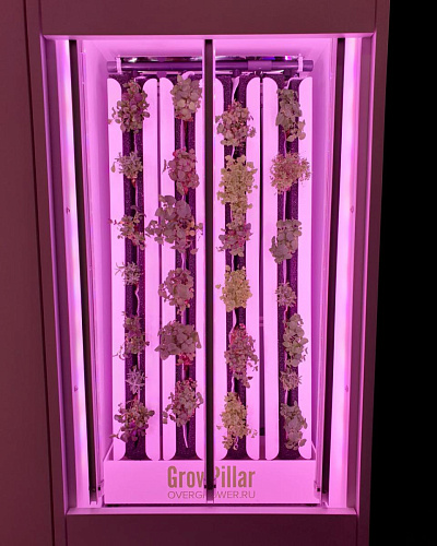 Вертикальная ферма GrowPillar-6 Домашний сад