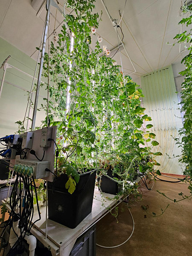 Модульная система AlfaPlants