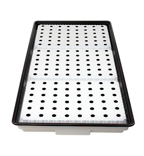 Lid for growing 600x400mm for 48 plants