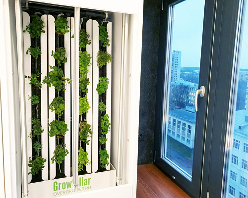 Вертикальная ферма GrowPillar-6 Домашний сад