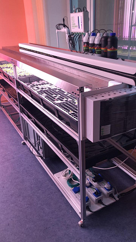 Технологический стол CityFarmer Проращивание