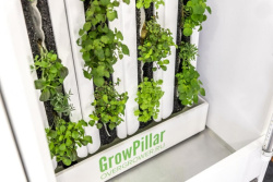 Вертикальная ферма GrowPillar-6 Домашний сад