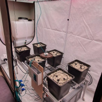 Модульная система AlfaPlants
