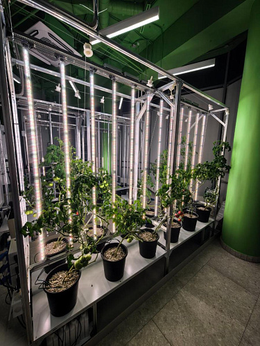 Модульная система AlfaPlants