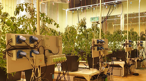 Модульная система AlfaPlants